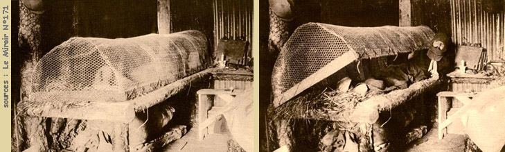 Nuisibles - Les animaux dans les tranchées - Première Guerre mondiale
