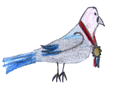 pigeon décoré